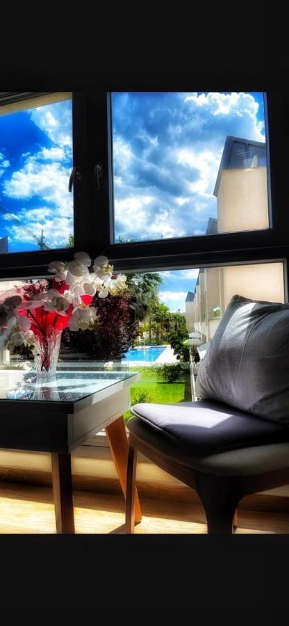 Beach Apartment Amalia Torrevieja Extérieur photo