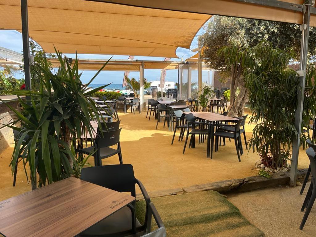 Beach Apartment Amalia Torrevieja Extérieur photo